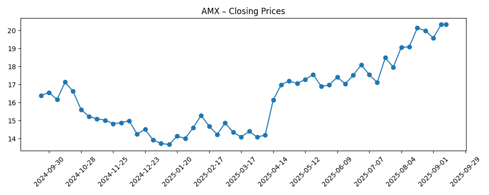 Stock price chart for AMX